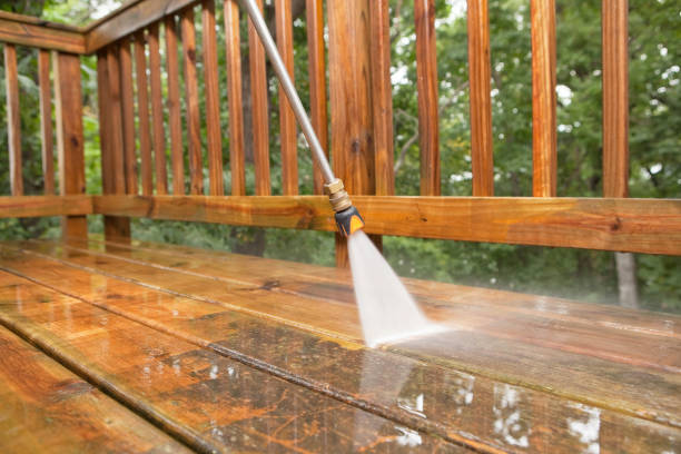 Best House Exterior Washing  in Perry, MI